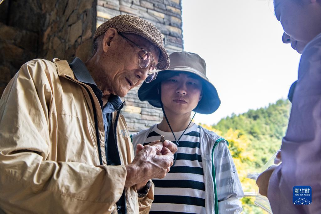 太阳城游戏网站